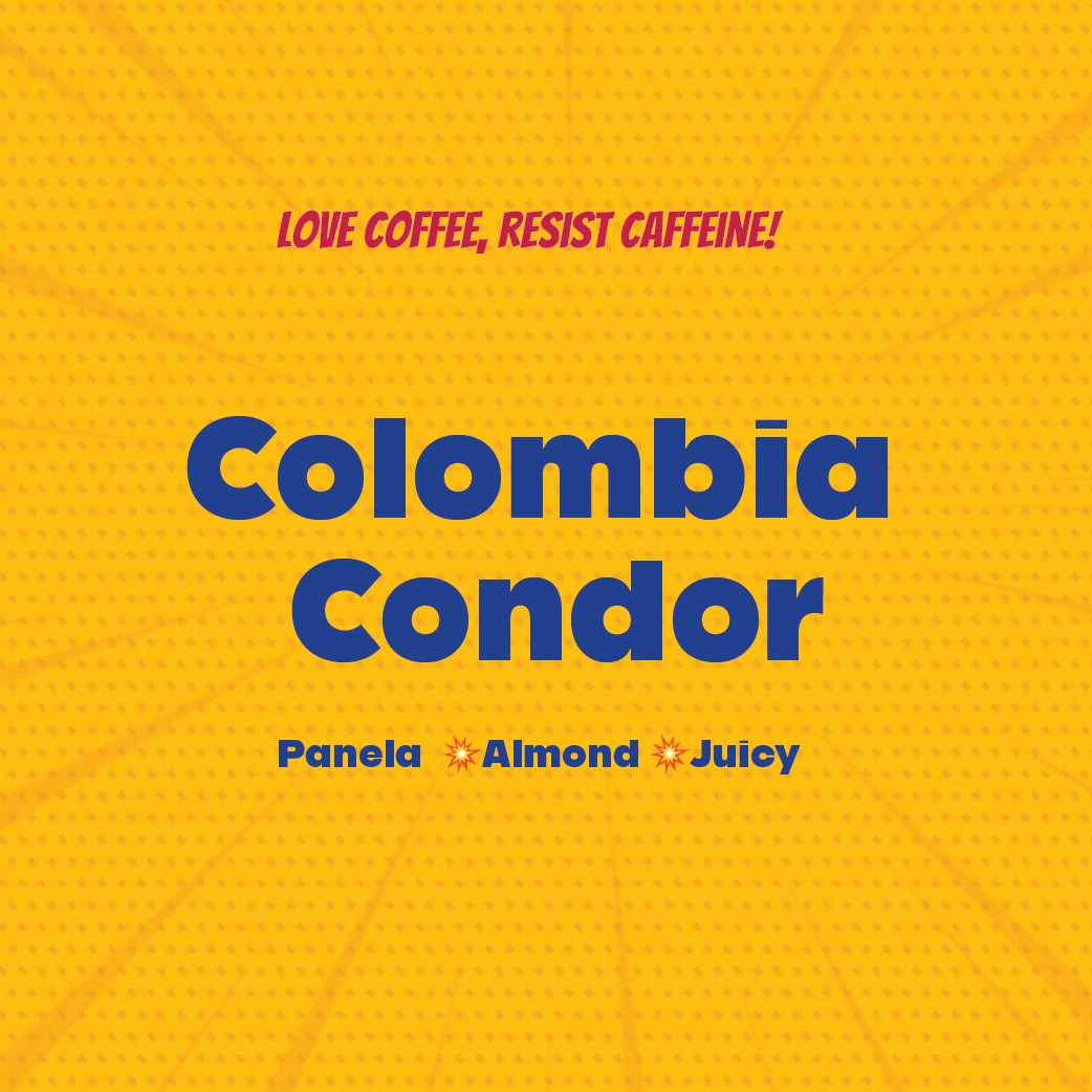 Colombia Condor decaf